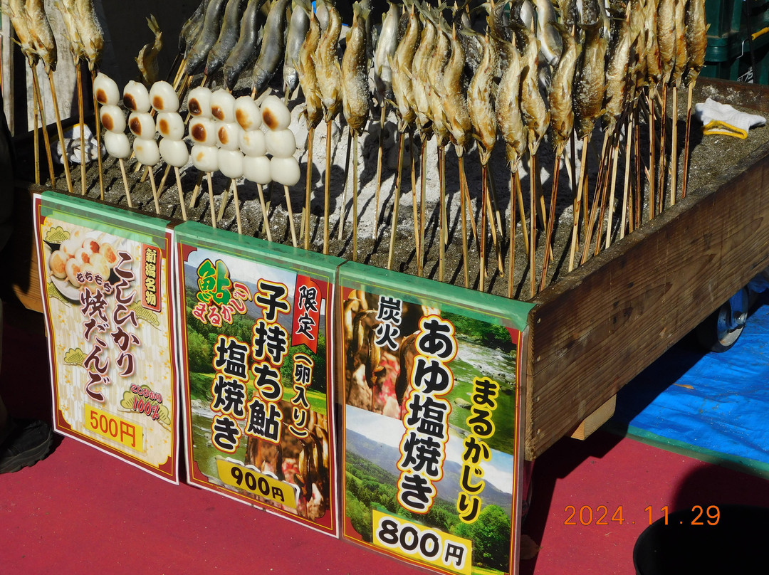 隅田公园-Mukou-jima必去景点