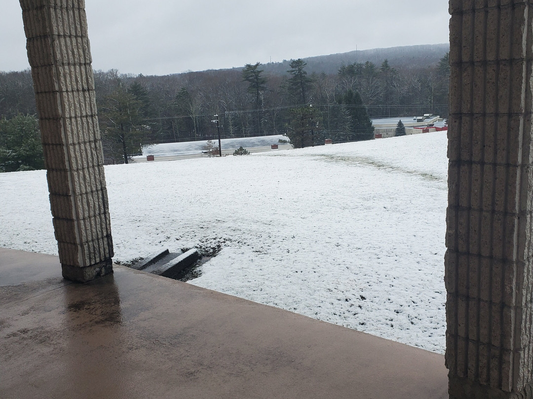 Cove Haven Resort主图