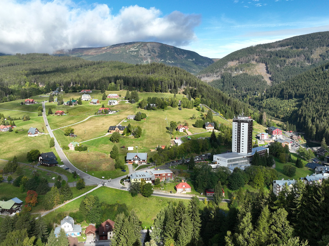 奥尔里克小屋酒店主图