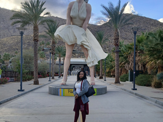 Palm Springs Black History Tours-棕榈沙漠必去景点