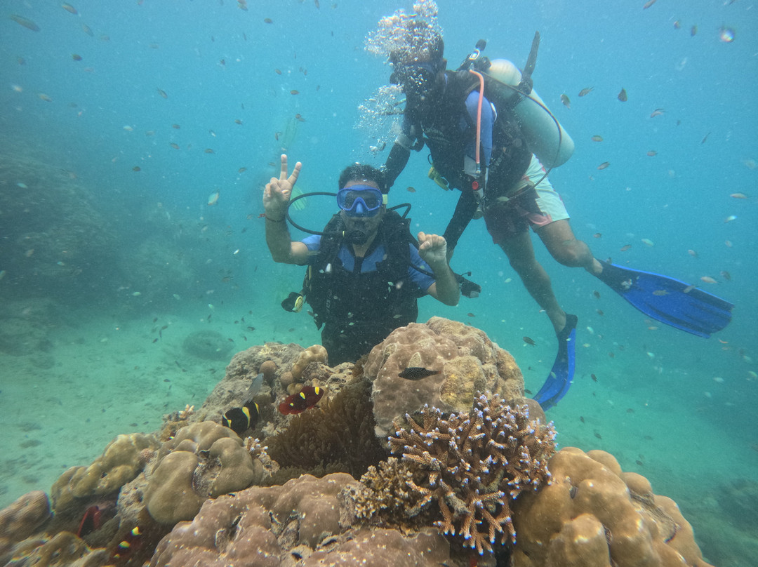 Blu Odyssey-布莱尔港必去景点