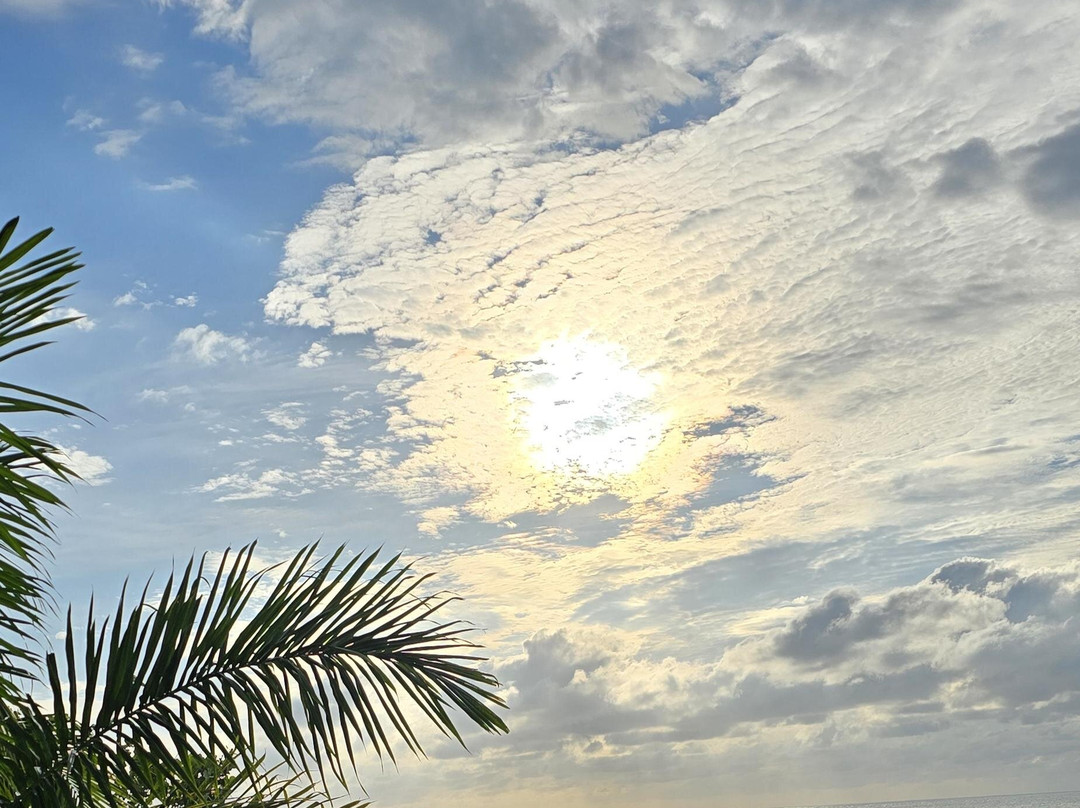 Skylark Negril Beach Resort主图