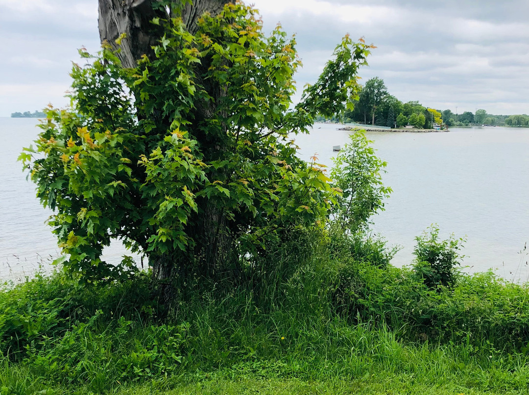 Selkirk Provincial Park-Selkirk必去景点