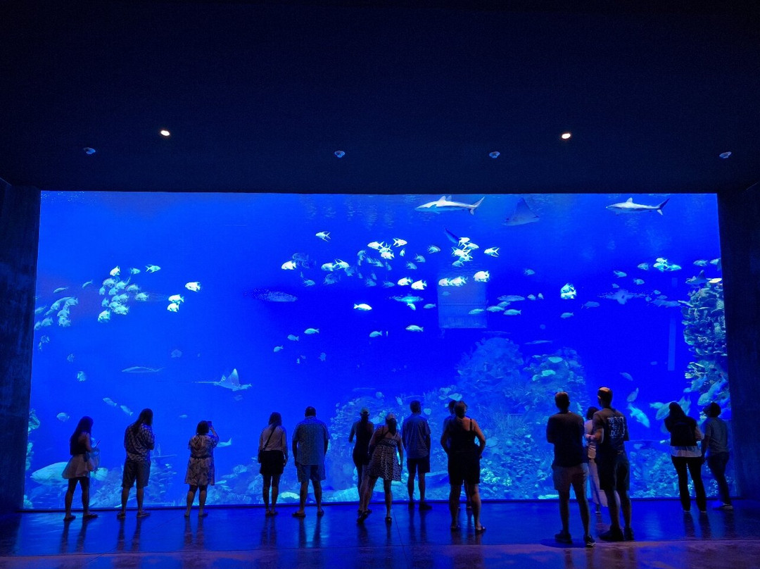 Gran Acuario Mazatlán Mar de Cortés-马萨特兰必去景点