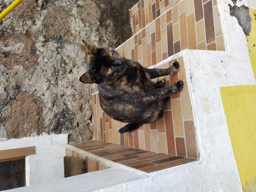 Casa das Ilhas主图