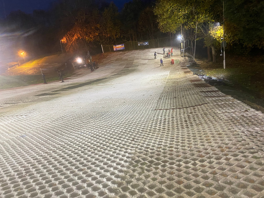 Alpine Snowsports Aldershot景点图片