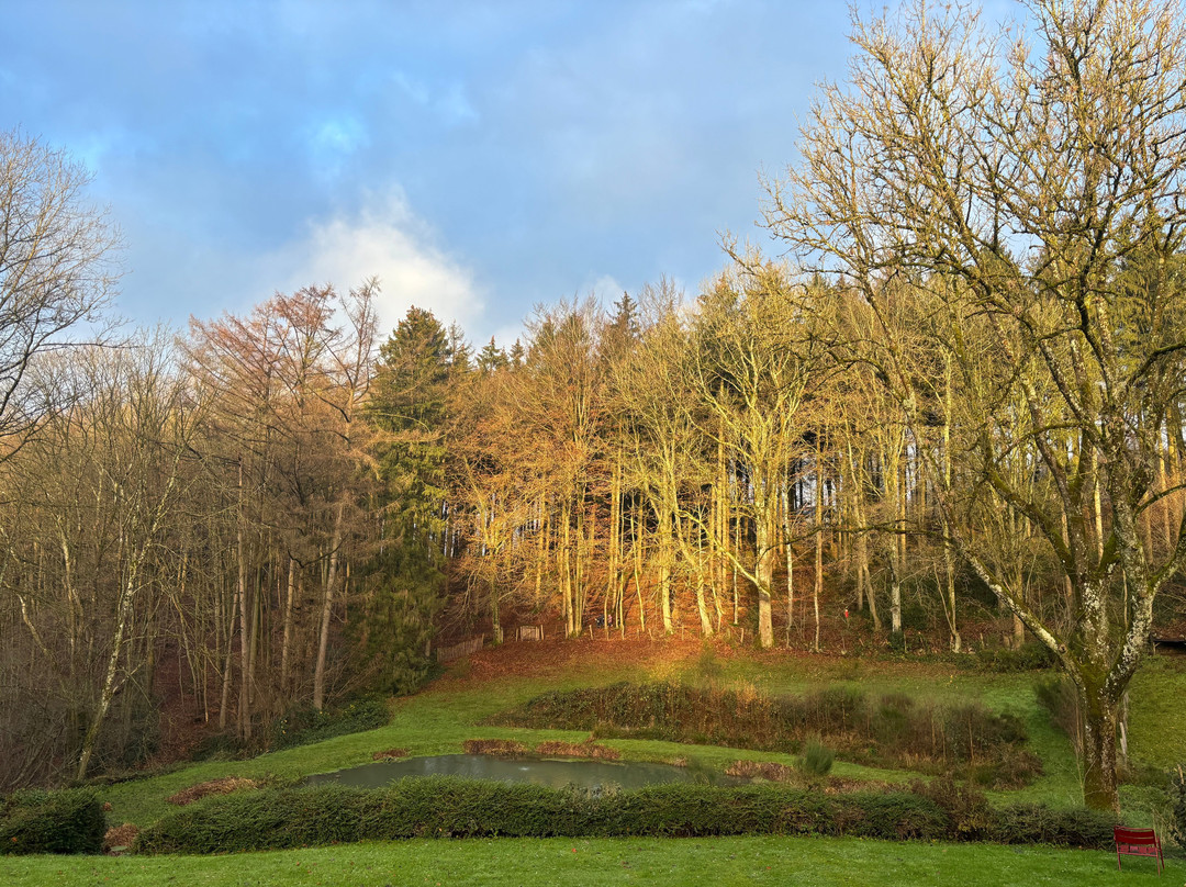 B&B Les Oiseaux de Passage主图