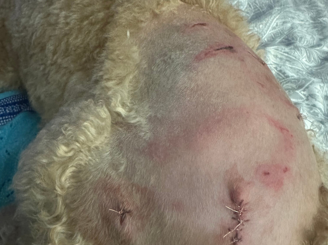 Catarata Salto de Collores-Juana Diaz必去景点