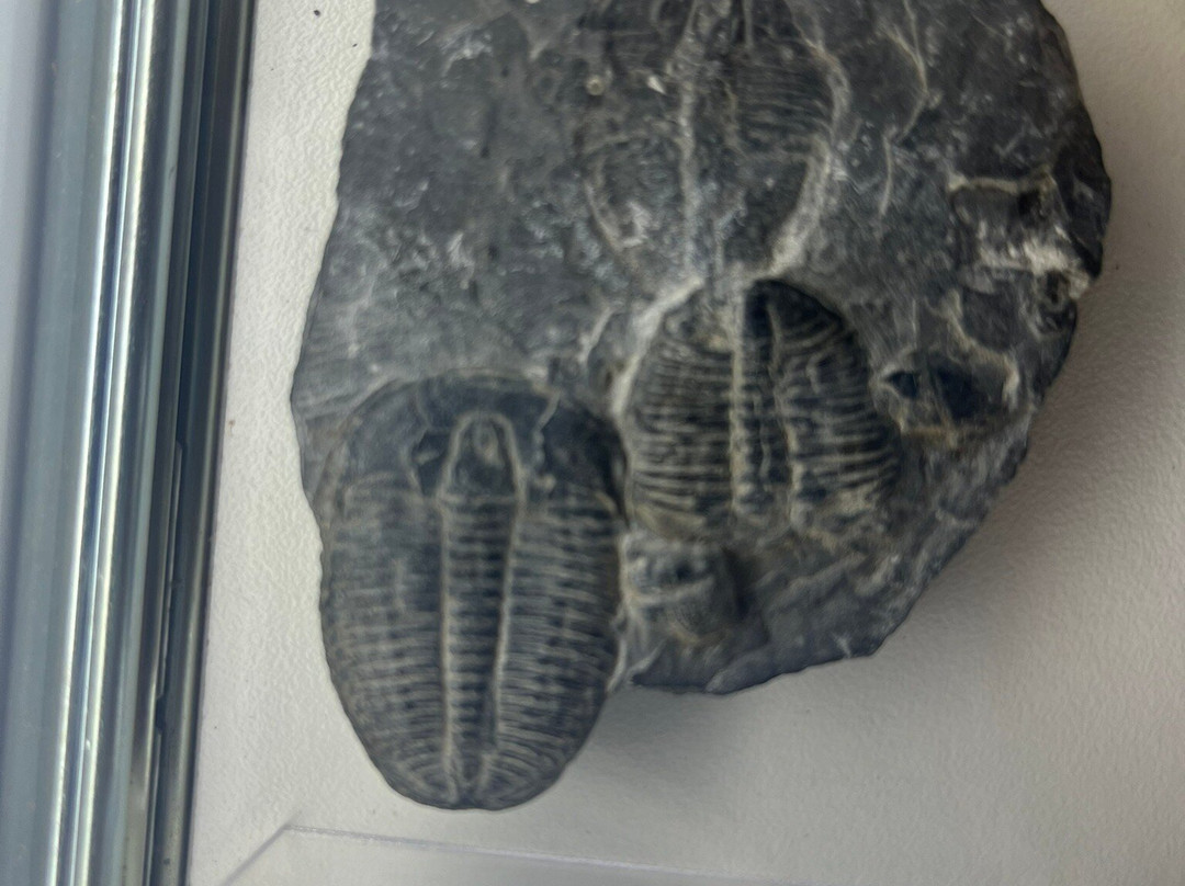 Museu Sincorá-雷恩克斯必去景点