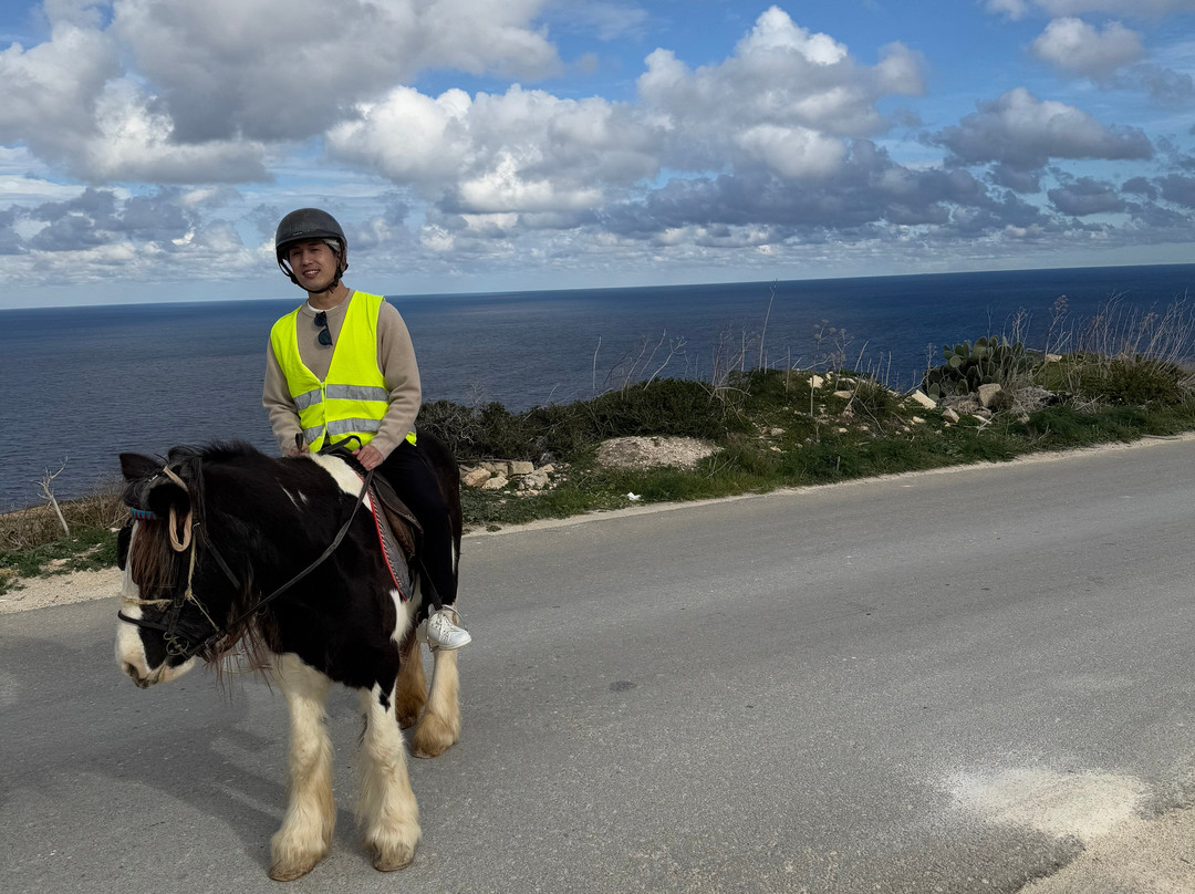 Gozo Stables Horse-Riding-Qala必去景点