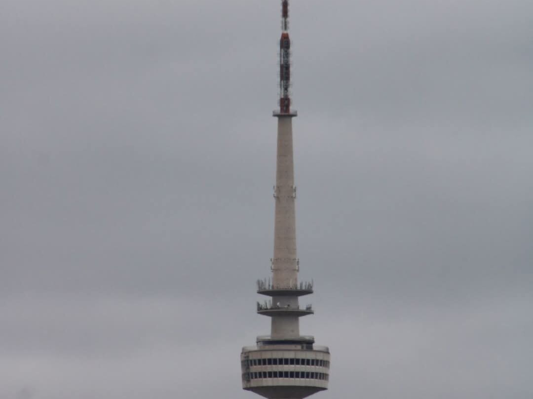 Telstra Tower-堪培拉必去景点