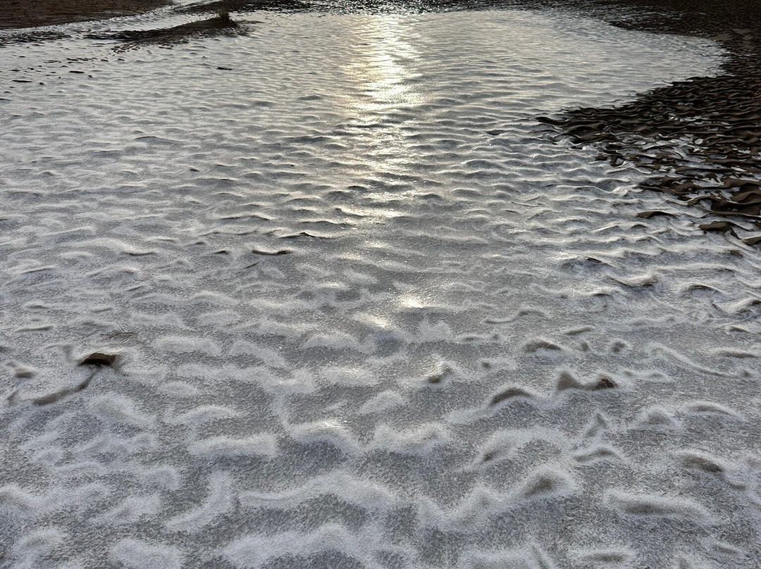 Tentsmuir Forest-Tayport必去景点