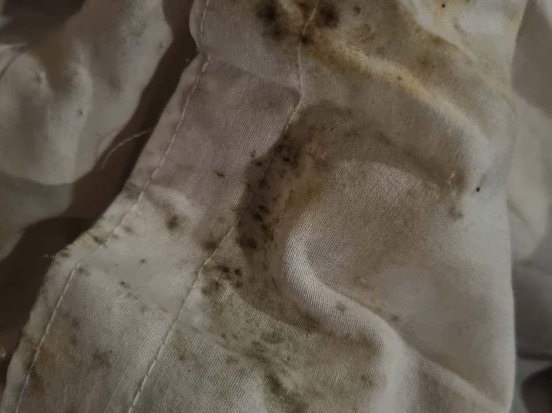 有机蓝梦岛水疗中心-Jungutbatu必去景点