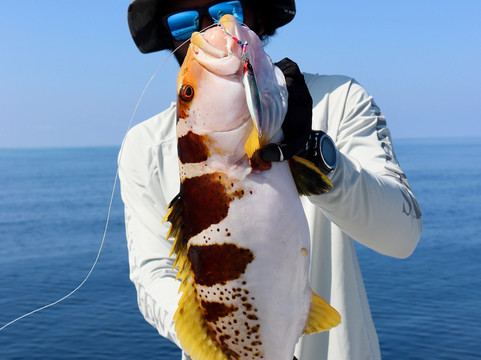 Tails Up Tours-马富士岛必去景点