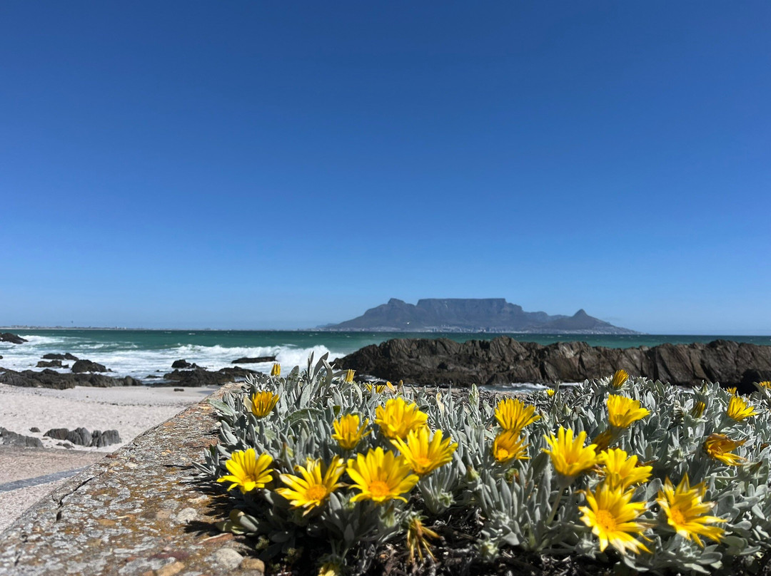 3帕姆斯豪华别墅主图