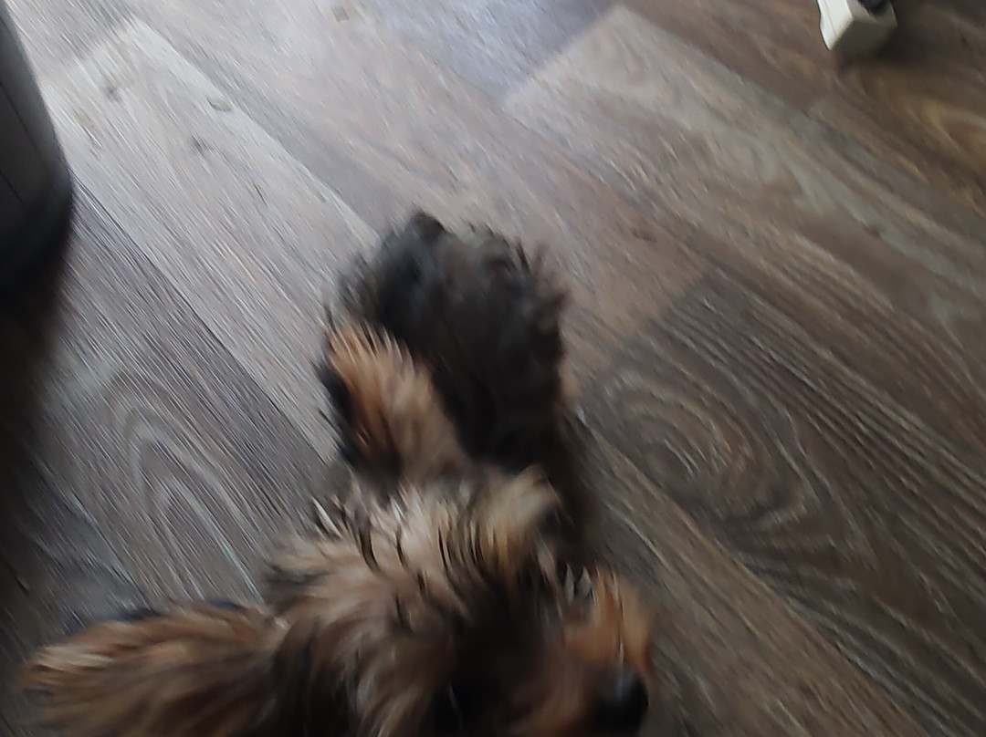 Red Roof Inn Georgetown, IN - Louisville West主图