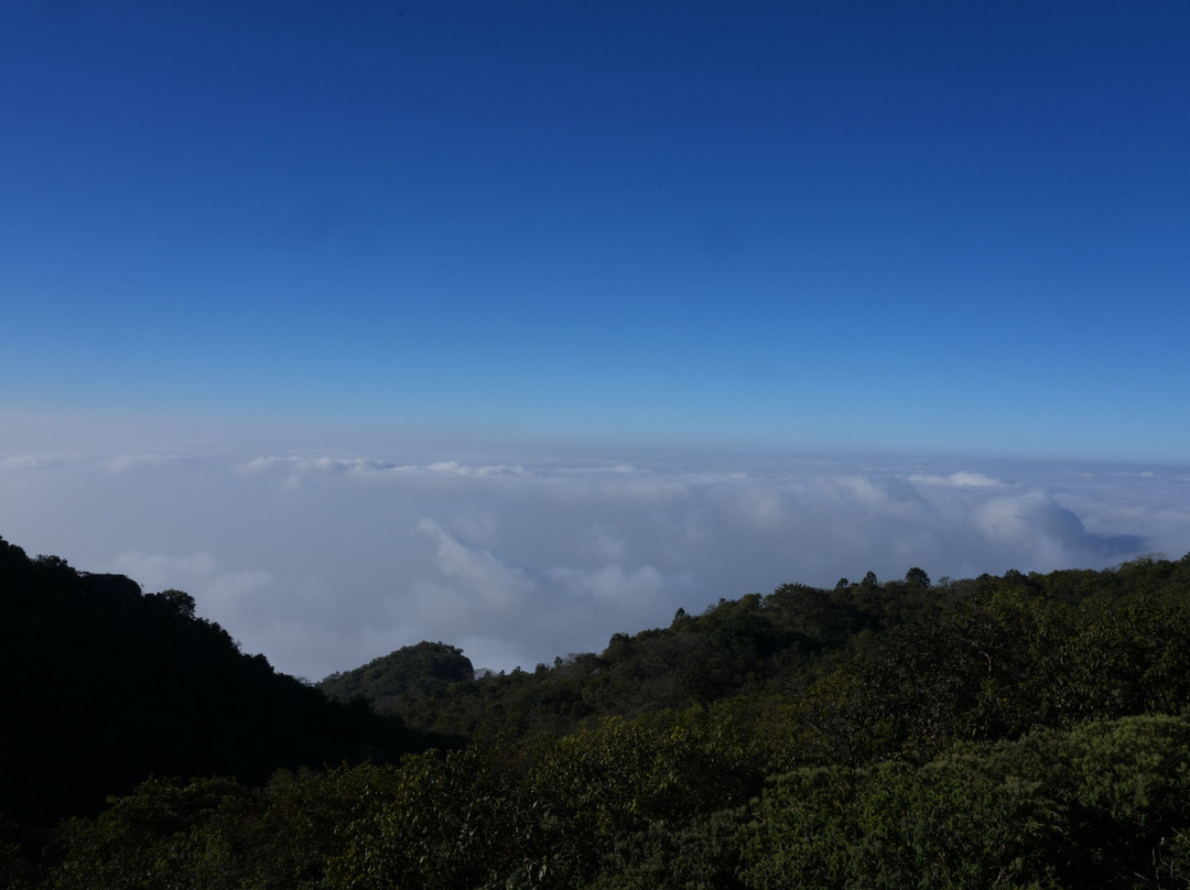 Shikharji景点图片