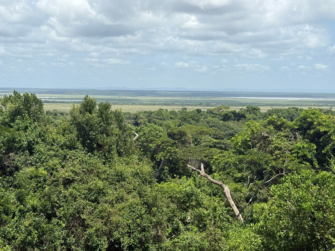 The Little Bush Baby Company-圣露西亚必去景点