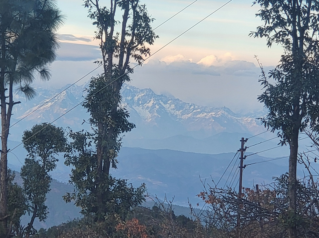 Katie's Abode, Hartola主图