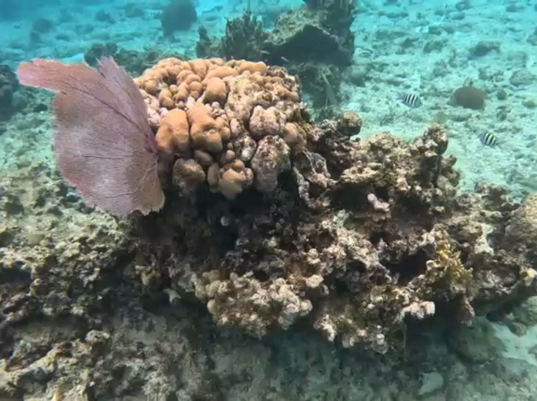 Adventura Cayman-Camana Bay必去景点