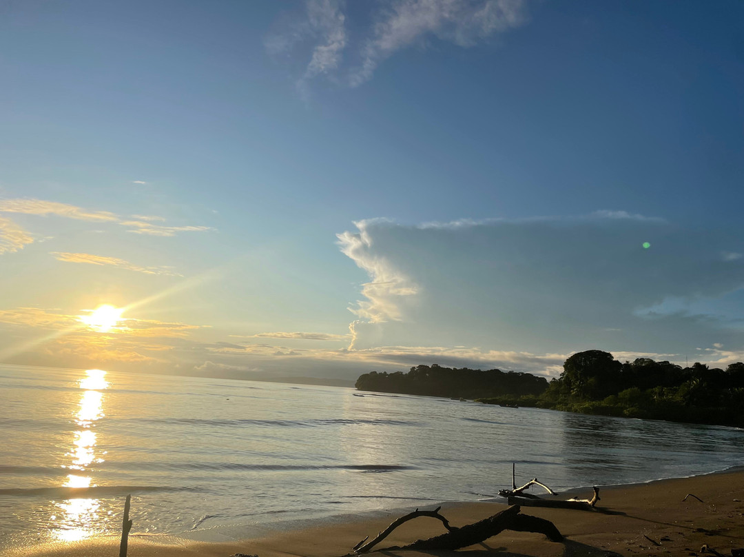 Hotel Hibiscus Garden主图