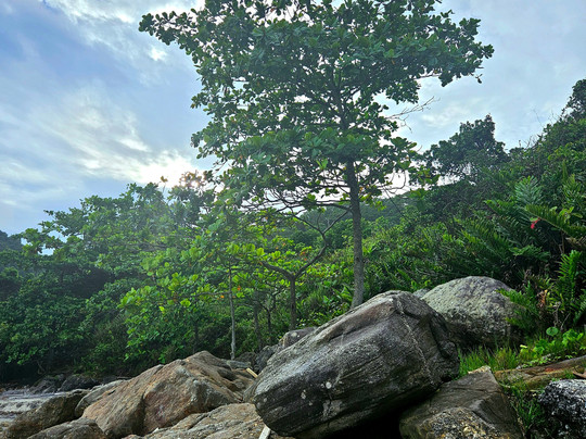 Praia Itaquitanduva-Sao Vicente必去景点