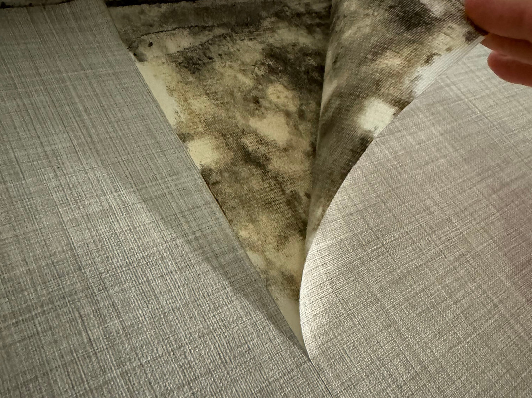 Wingate by Wyndham Bridgeport主图