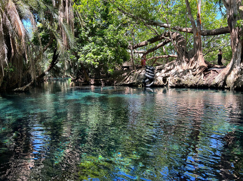 Lucky Adventure Tours