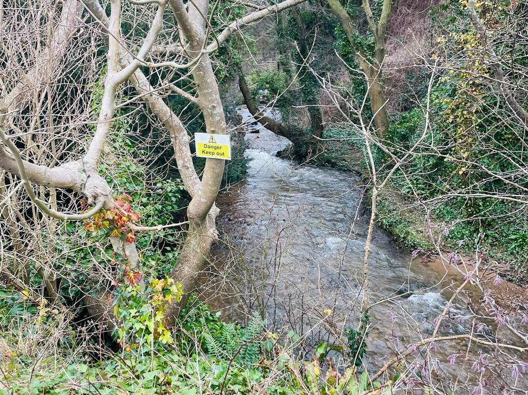 Dyserth Waterfall景点图片