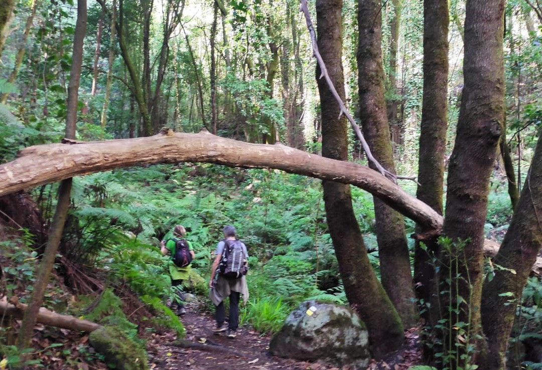 La Palma Outdoor景点图片
