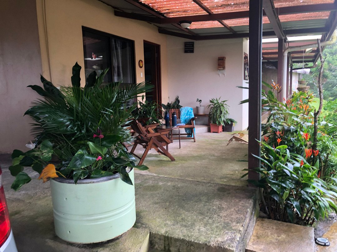 Casa Donna Rosa Bed And Breakfast主图