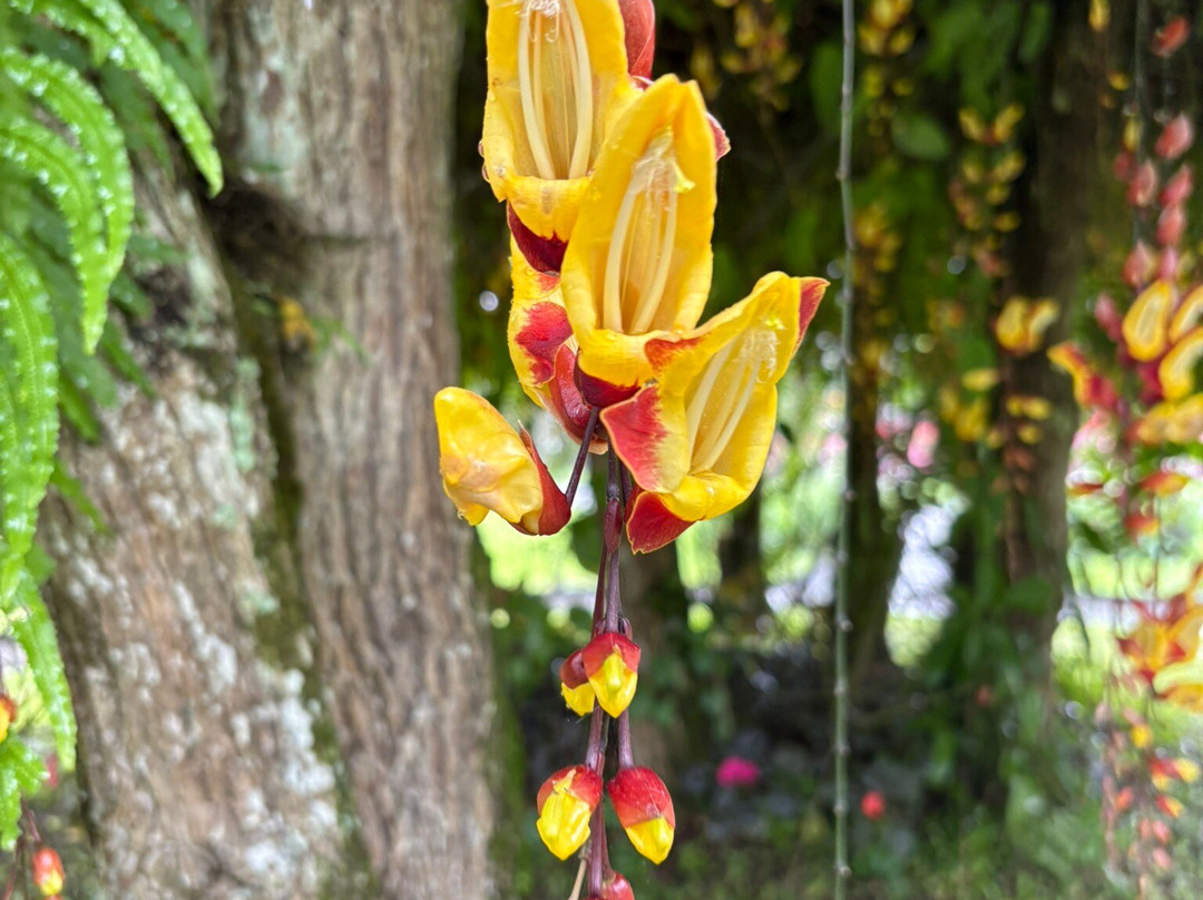 BaliKU Tour & Travel-登巴萨必去景点