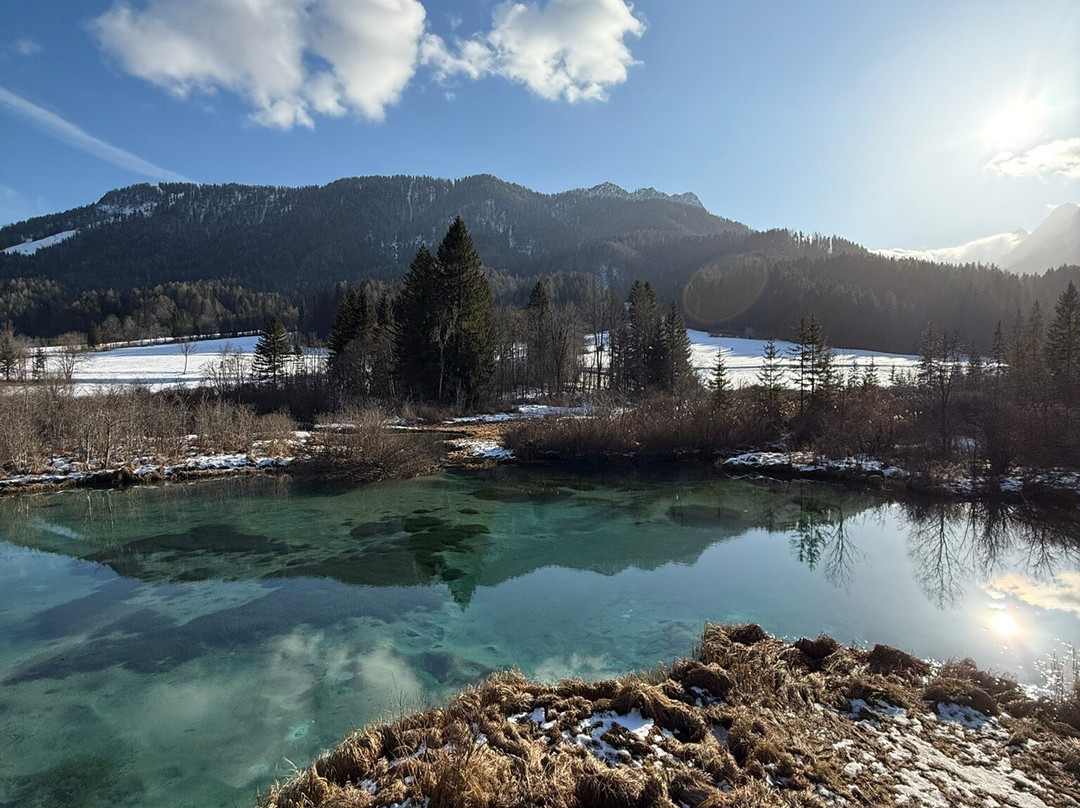 Zelenci Nature Reserve景点图片