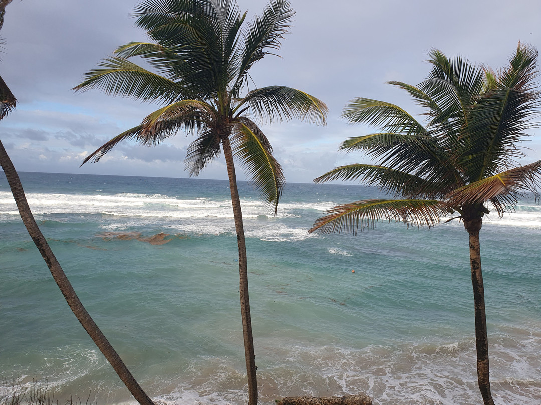 亚特兰蒂斯酒店主图