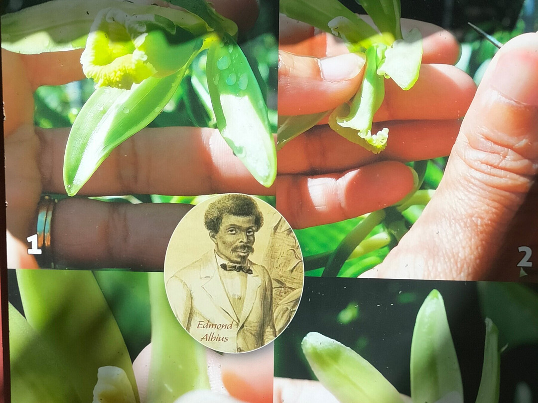 La Cooperative Provanille景点图片