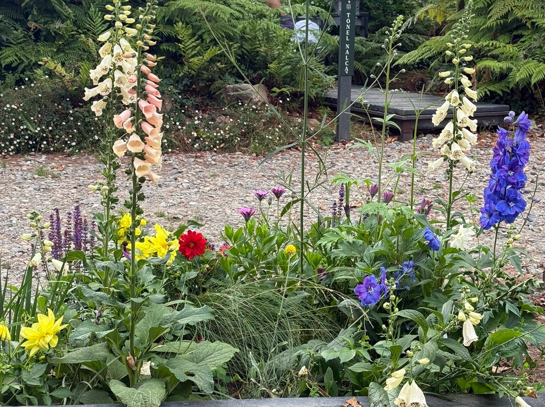 Hotel Puerta Del Sur主图