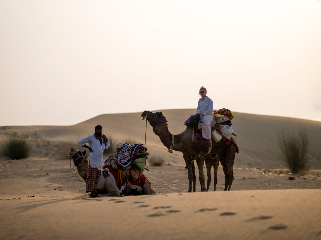 Crazy Camel Desert Camping-杰伊瑟尔梅尔必去景点