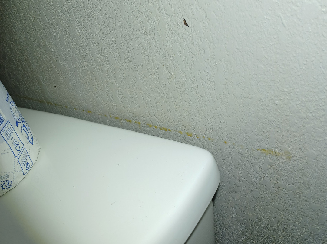 Red Roof PLUS+ Columbus Dublin主图