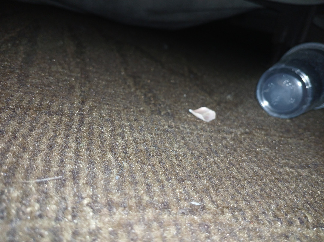 Red Roof PLUS+ Columbus Dublin主图