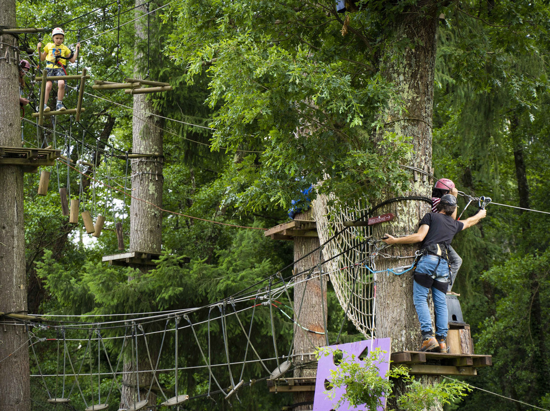 Associazione Adrenalina Parco Avventura Casentino景点图片
