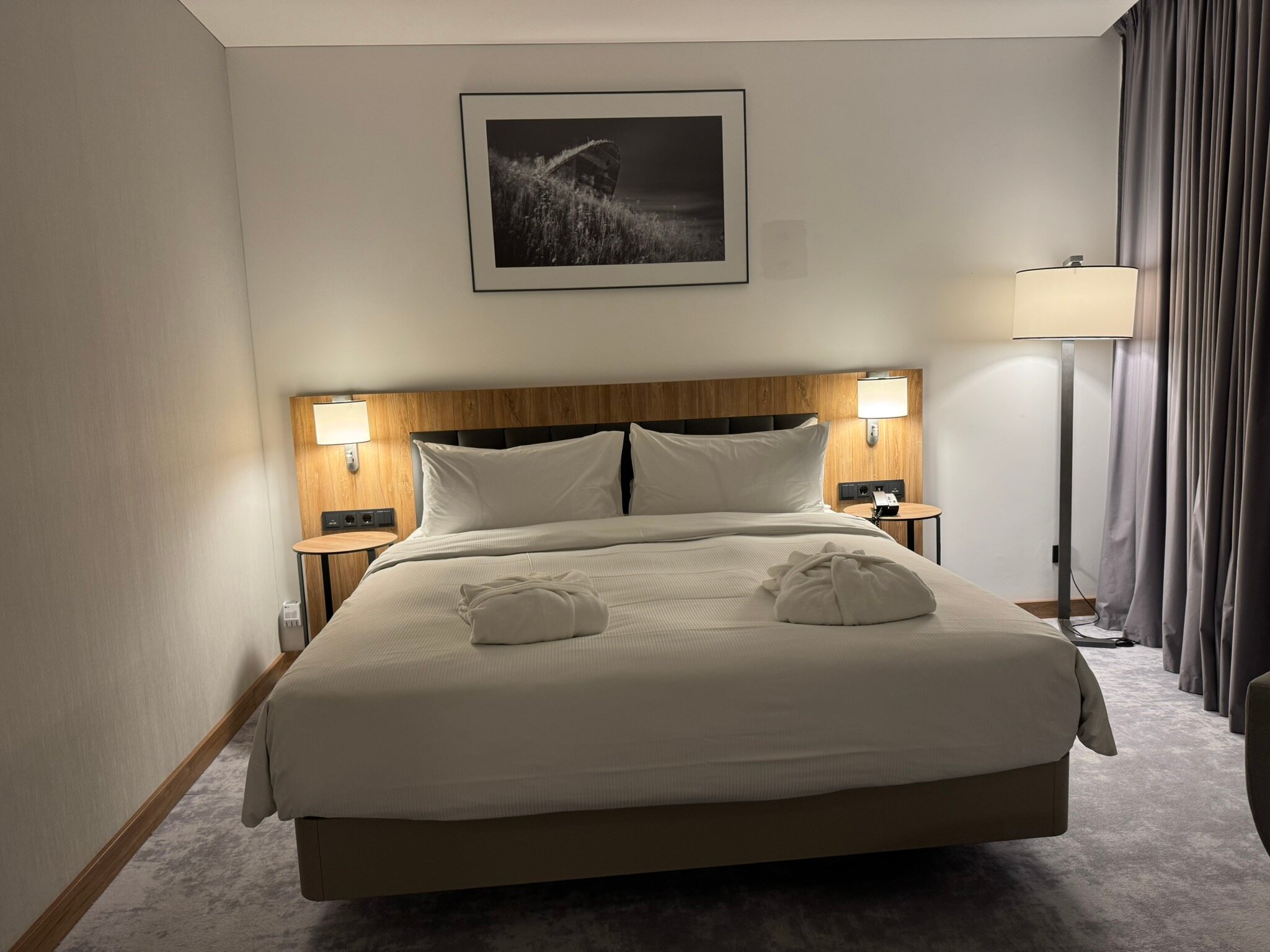 Hilton Garden Inn Vilnius City Centre-客卧