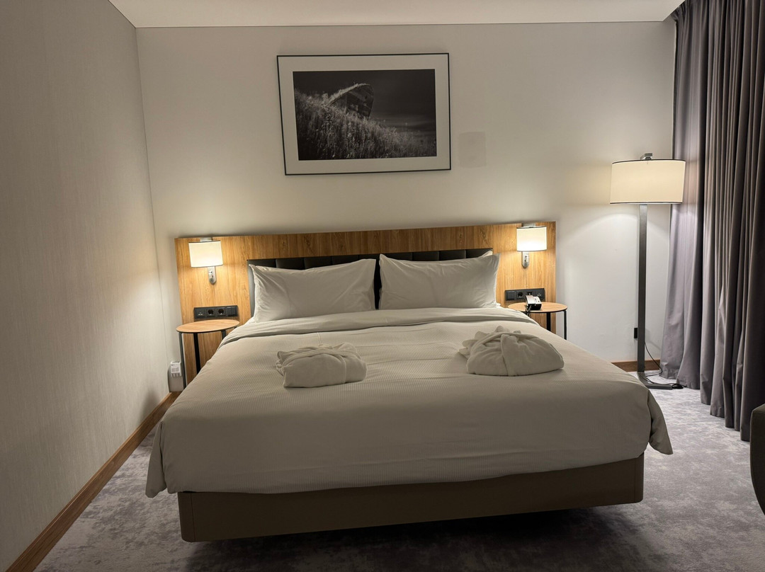 Hilton Garden Inn Vilnius City Centre主图