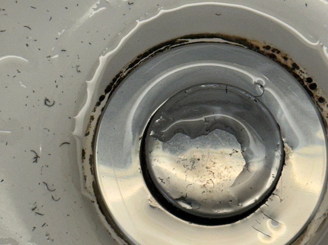 Hampton Inn Olive Branch主图