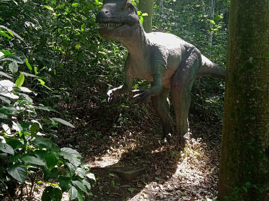 Terra Dos Dinos-Miguel Pereira必去景点