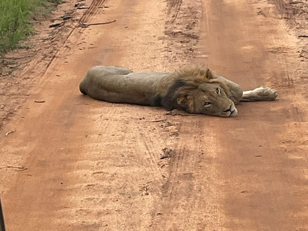 Leap Adventures - Hazyview Cabanas-雾观必去景点