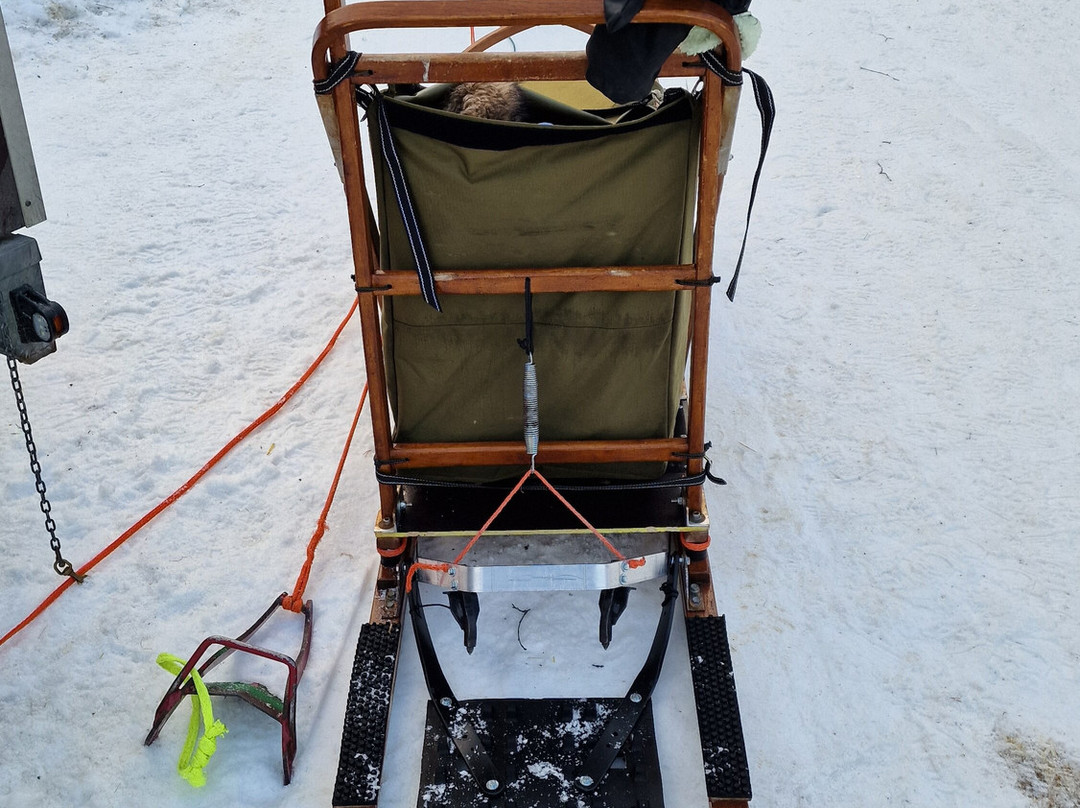 Gargia Husky The True North Experience-阿尔塔必去景点