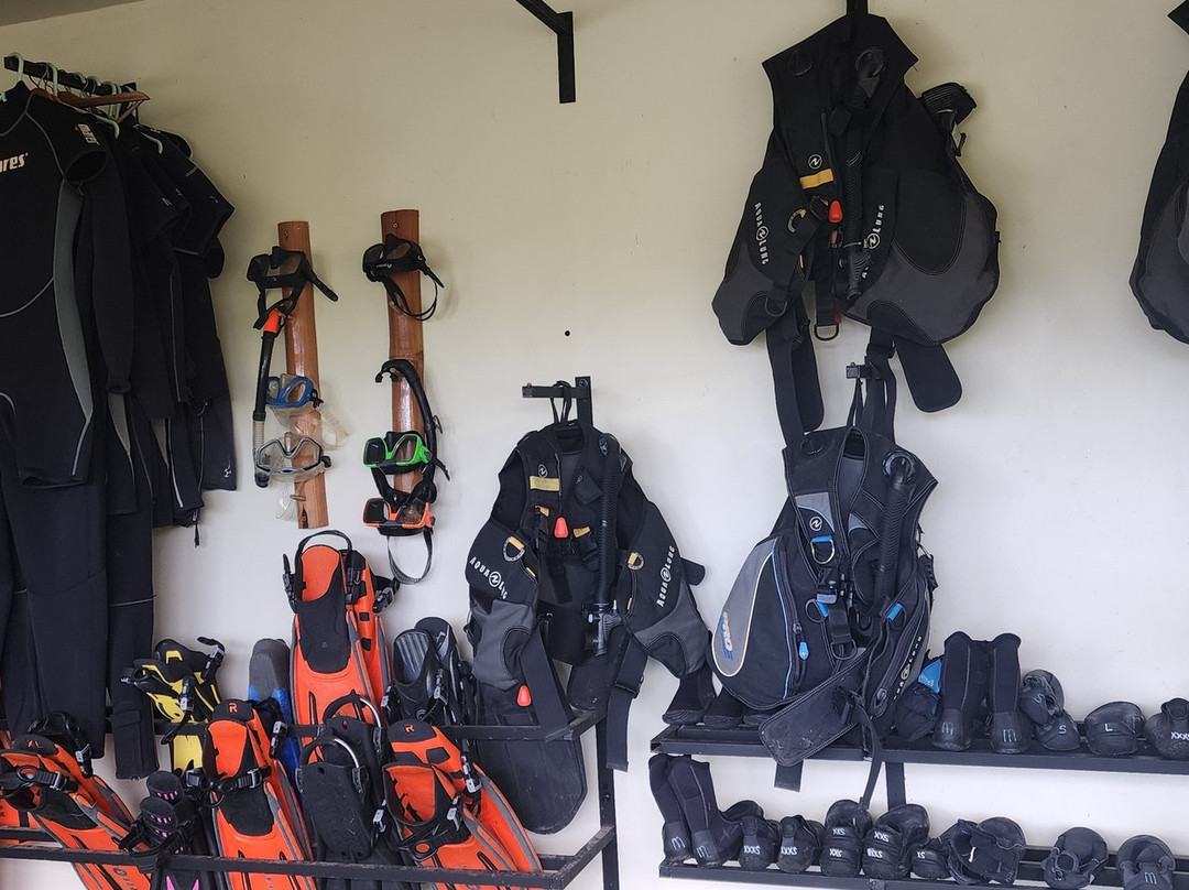 Pirate Divers Busuanga Coron景点图片