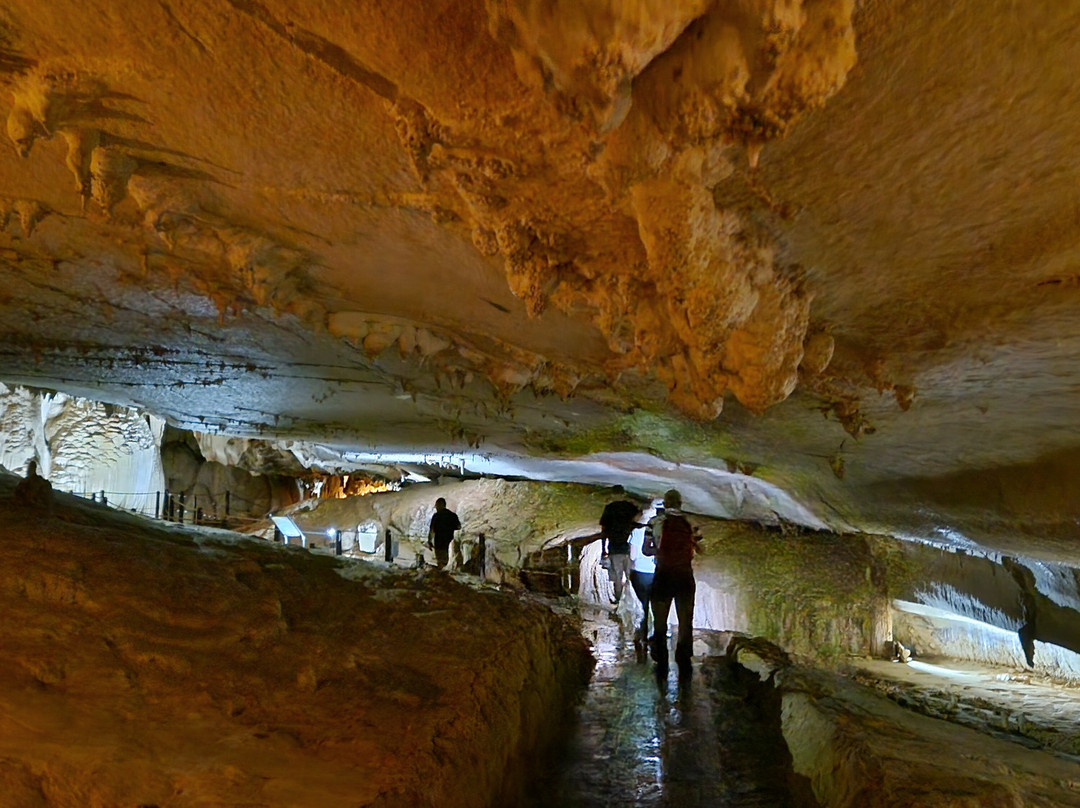 Deer Cave-姆鲁国家公园必去景点