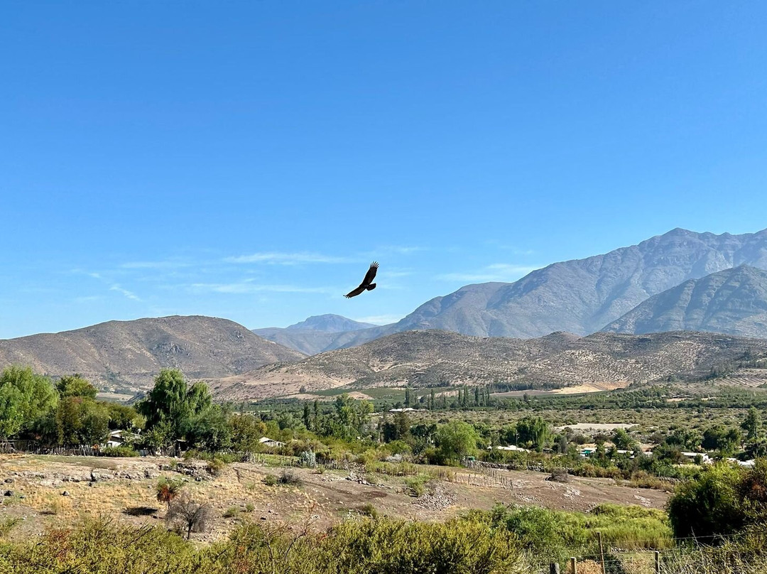 Mallacun Vertical-Salamanca必去景点