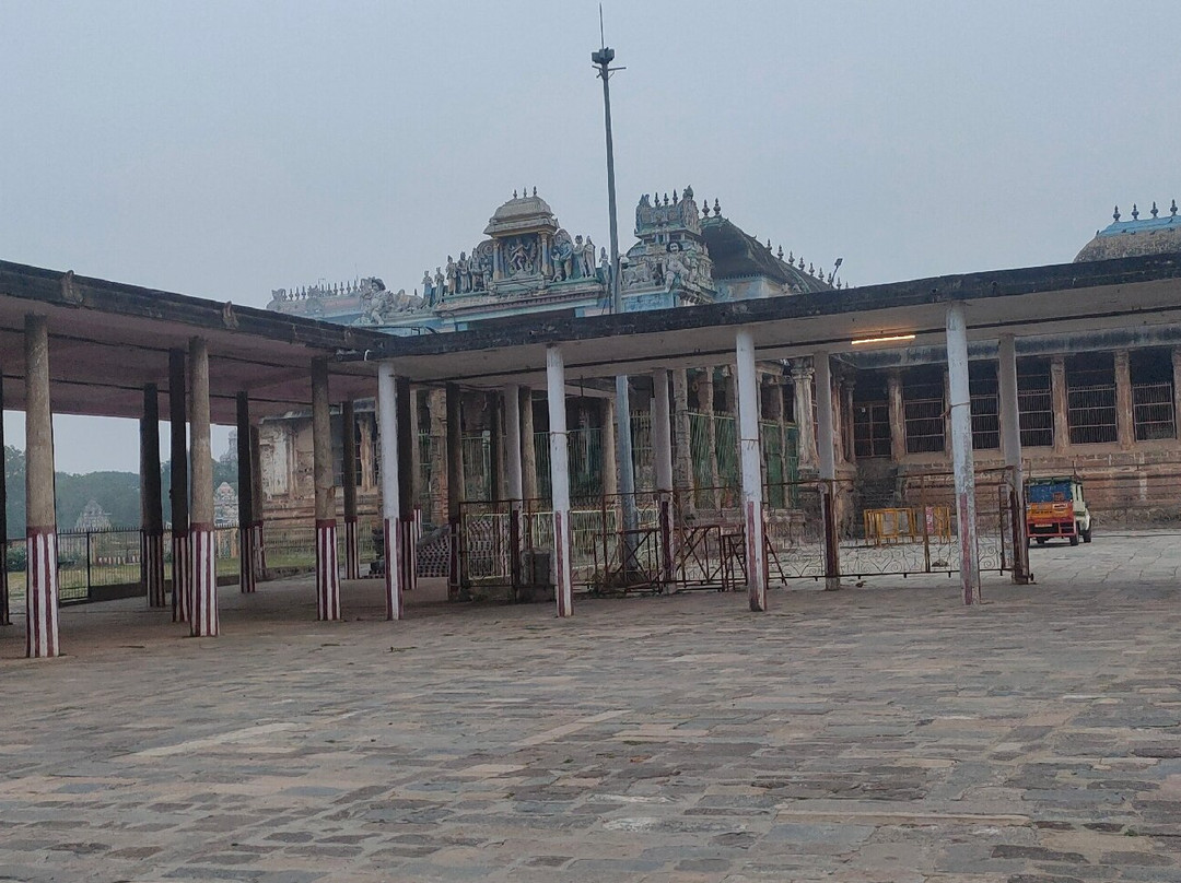 Thillai Nataraja Temple景点图片
